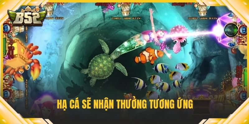 Hạ cá sẽ nhận thưởng tương ứng